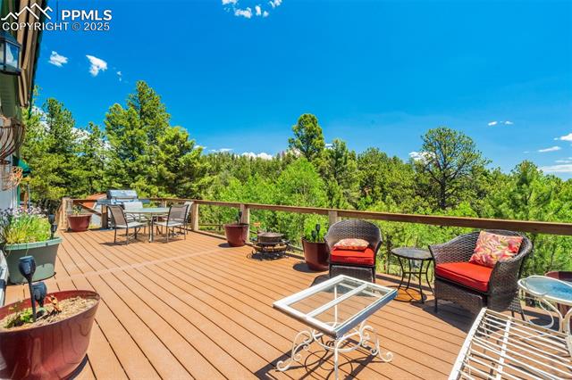 716 Badger Trail
