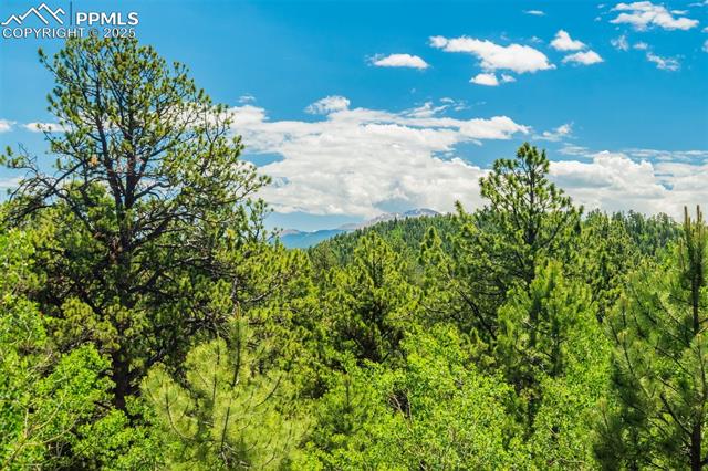 716 Badger Trail