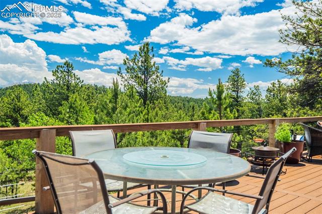 716 Badger Trail