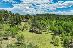 716 Badger Trail