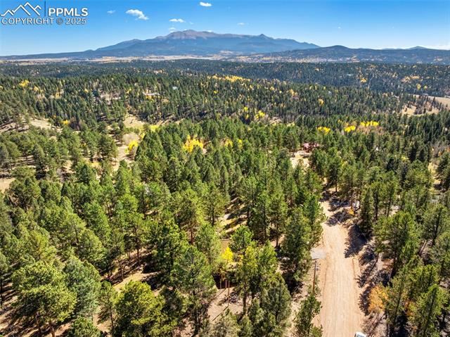 70 Cheesman Lake Circle