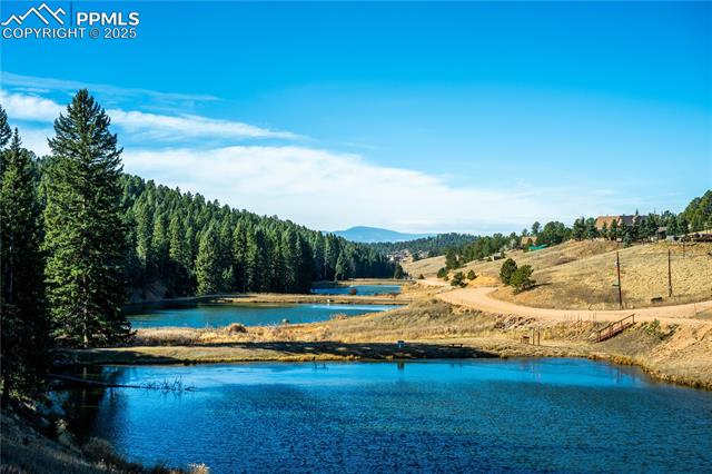 70 Cheesman Lake Circle