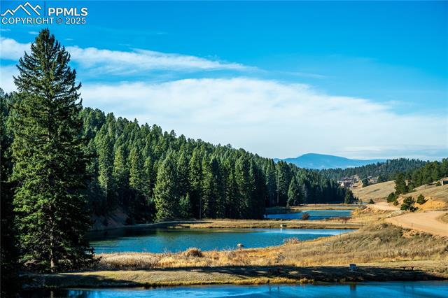 70 Cheesman Lake Circle