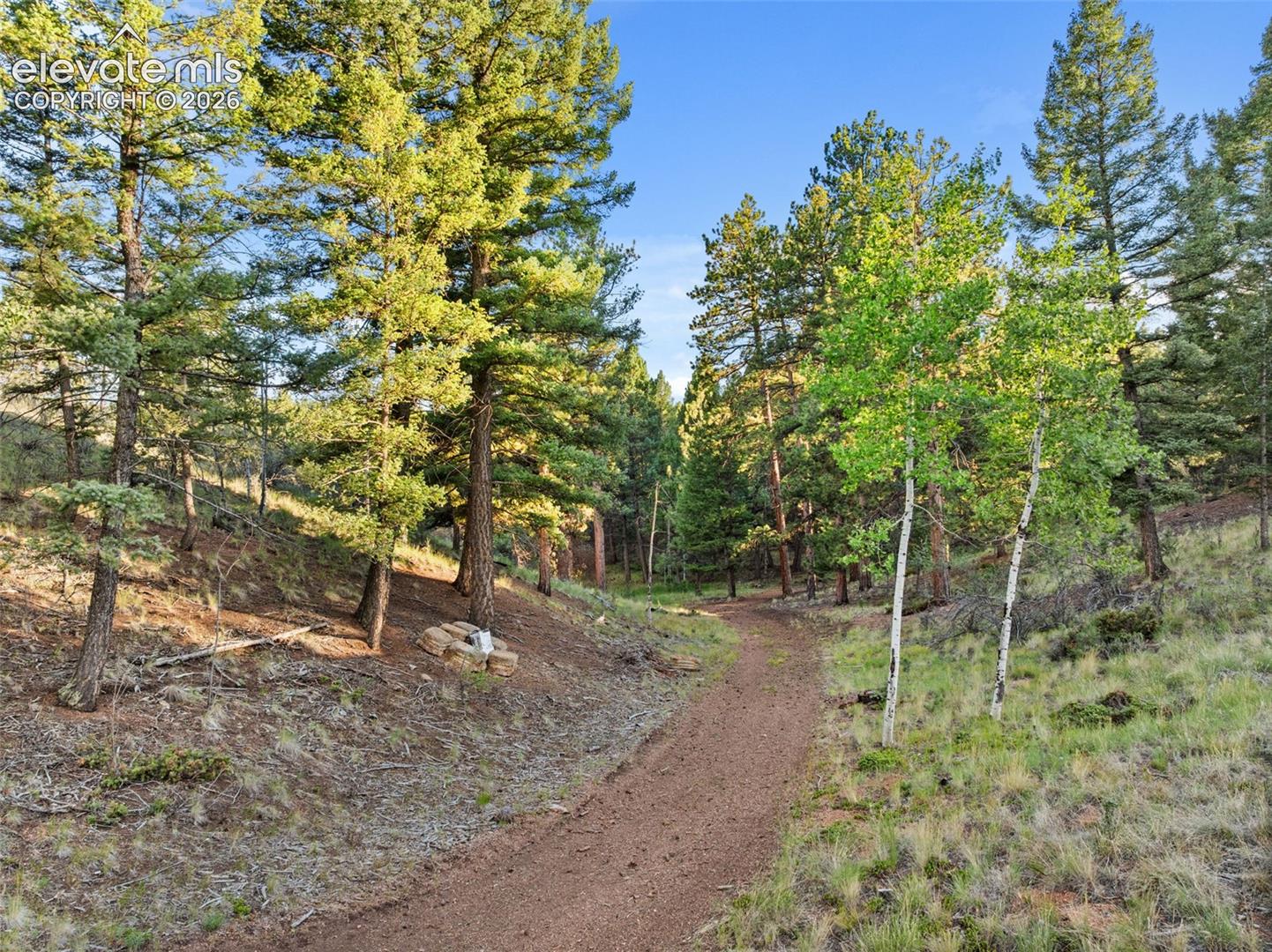 1933 County Road 782