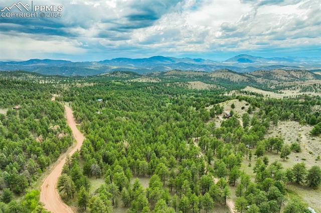 723 Trail Creek Road