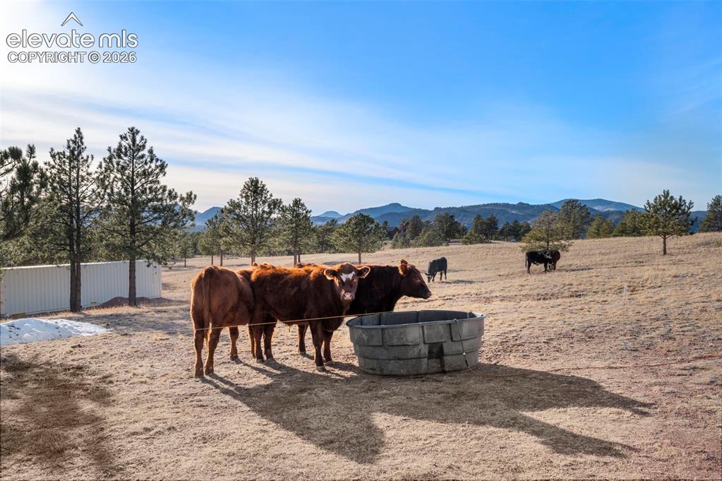 537 Chapparal Trail