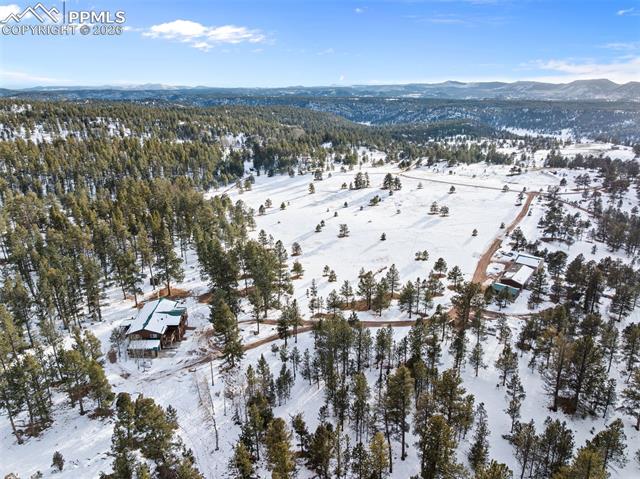 803 Timber Mesa Road