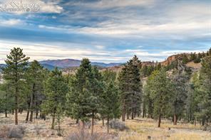 489 Trail Creek Road