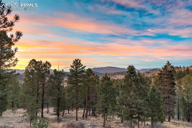 489 Trail Creek Road