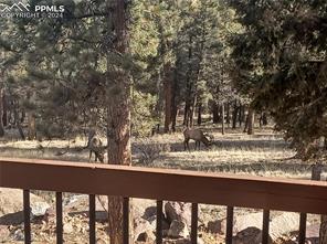 489 Trail Creek Road