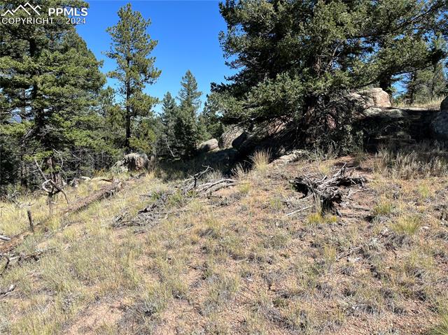 1821 Upper Twin Rocks Road