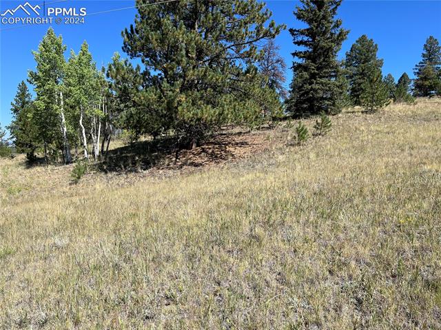 1821 Upper Twin Rocks Road