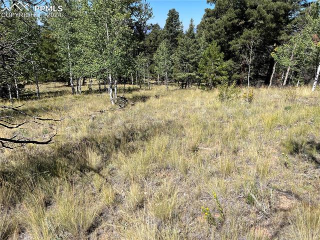 1821 Upper Twin Rocks Road