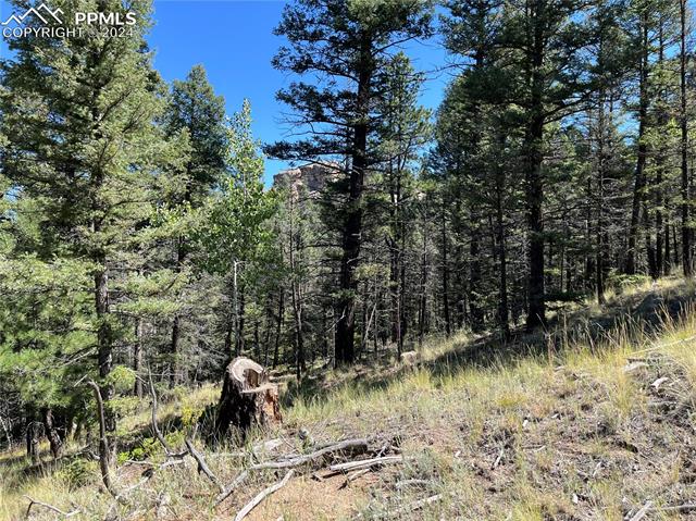 1821 Upper Twin Rocks Road