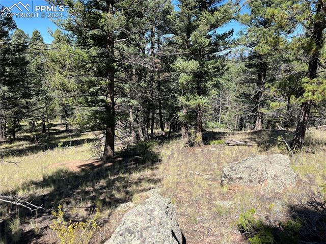 1821 Upper Twin Rocks Road