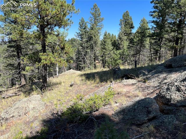 1821 Upper Twin Rocks Road