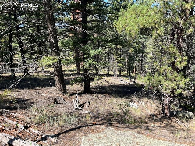 1821 Upper Twin Rocks Road