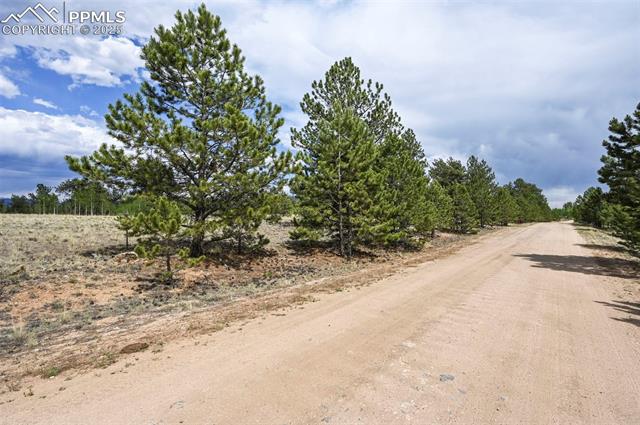 614 Yellowstone Road