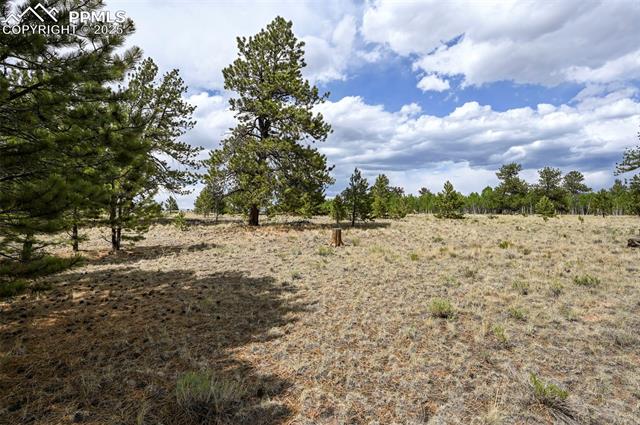 614 Yellowstone Road