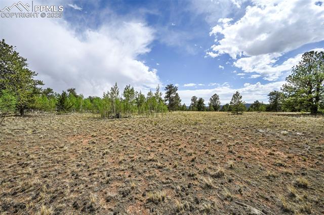 614 Yellowstone Road