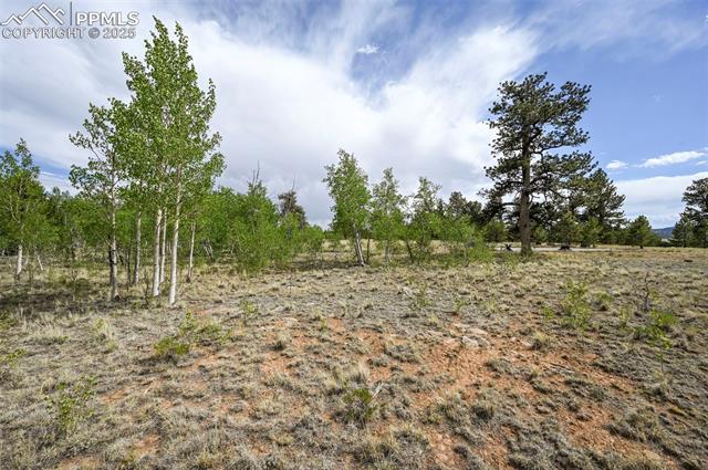 614 Yellowstone Road