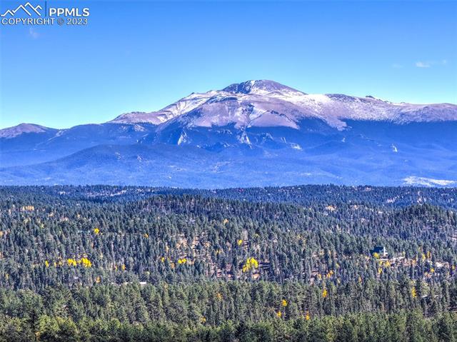 355 Gold Dust Creek Road