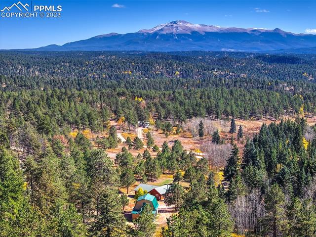 355 Gold Dust Creek Road