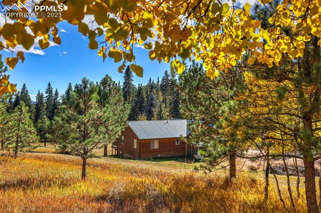 355 Gold Dust Creek Road