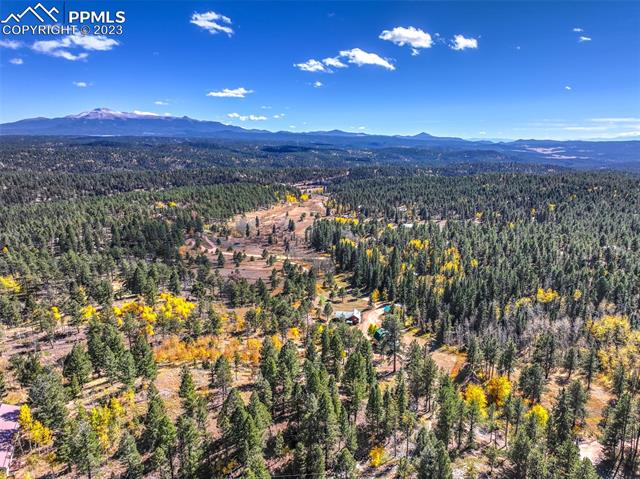 355 Gold Dust Creek Road