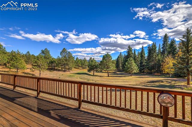 355 Gold Dust Creek Road