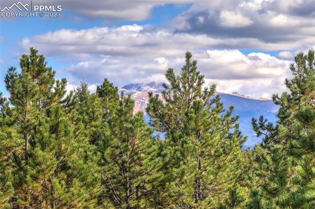 355 Gold Dust Creek Road