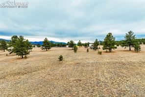 12077 County Road 1