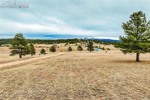 12077 County Road 1