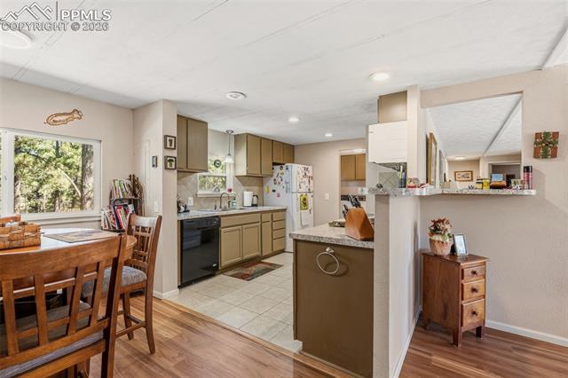 1299 Pikes Peak Drive