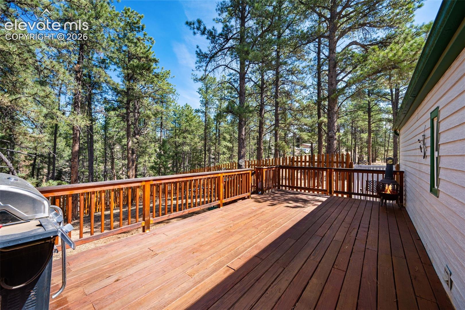 1299 Pikes Peak Drive
