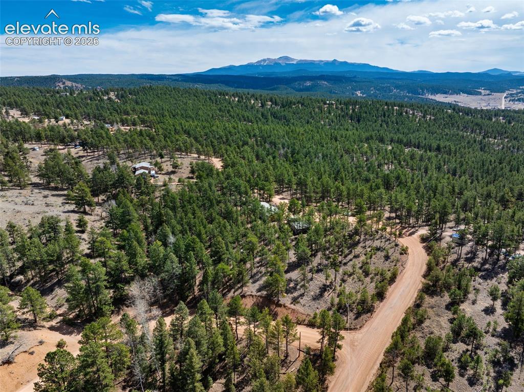 1299 Pikes Peak Drive