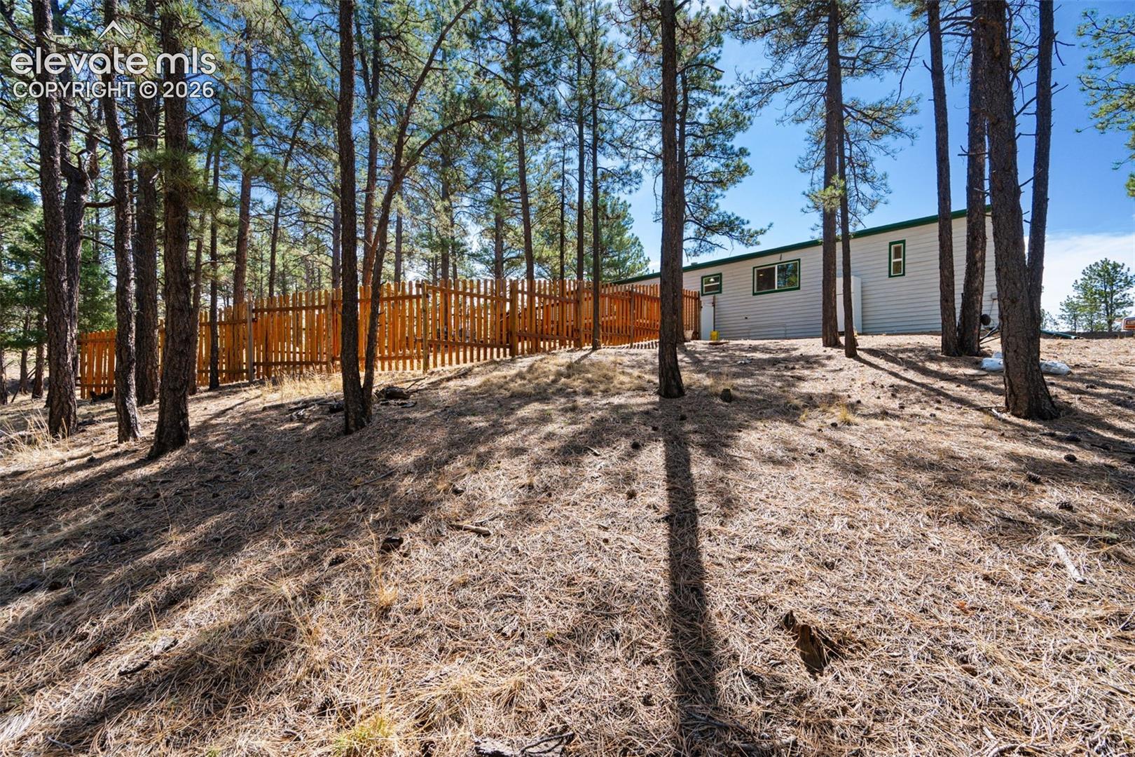 1299 Pikes Peak Drive