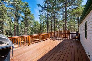 1299 Pikes Peak Drive