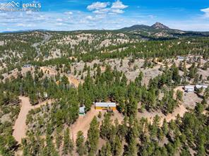 1299 Pikes Peak Drive
