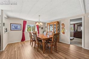 1299 Pikes Peak Drive
