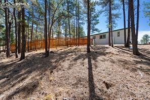 1299 Pikes Peak Drive
