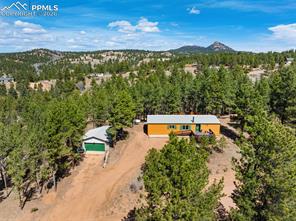 1299 Pikes Peak Drive