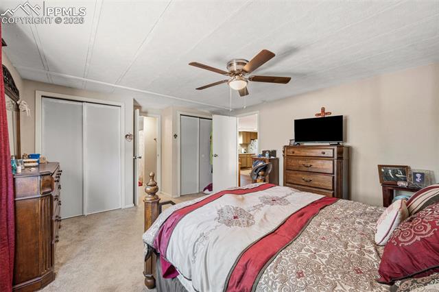 1299 Pikes Peak Drive