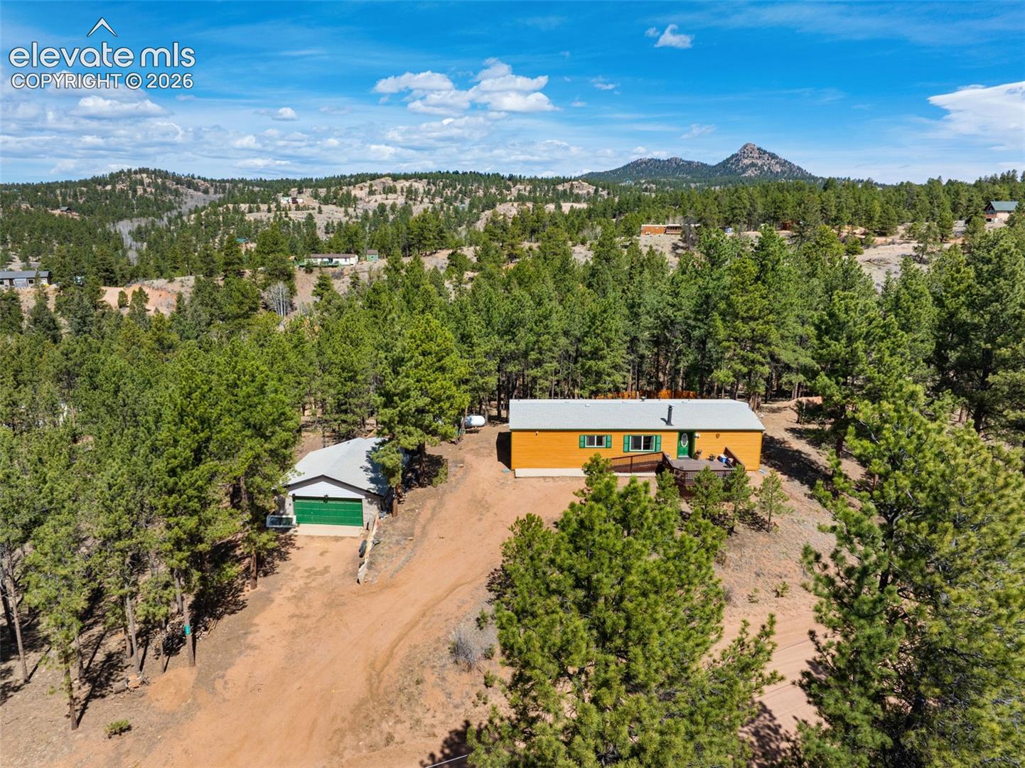 1299 Pikes Peak Drive