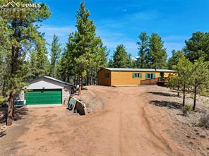 1299 Pikes Peak Drive