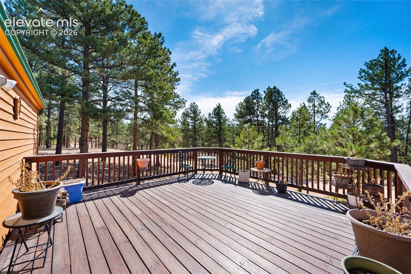 1299 Pikes Peak Drive
