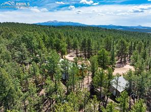 1299 Pikes Peak Drive