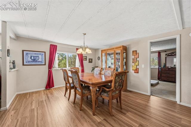 1299 Pikes Peak Drive