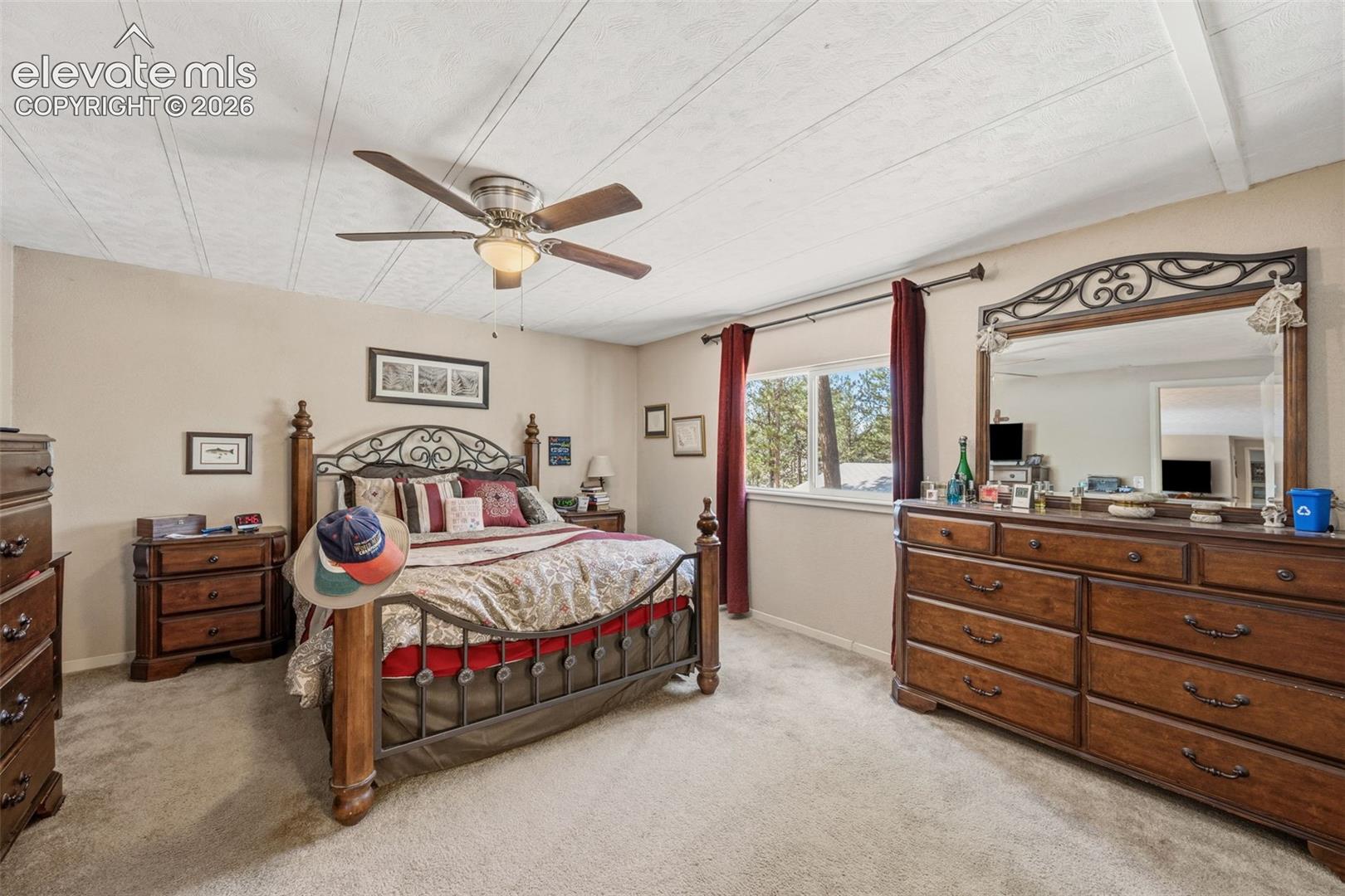 1299 Pikes Peak Drive