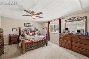 1299 Pikes Peak Drive